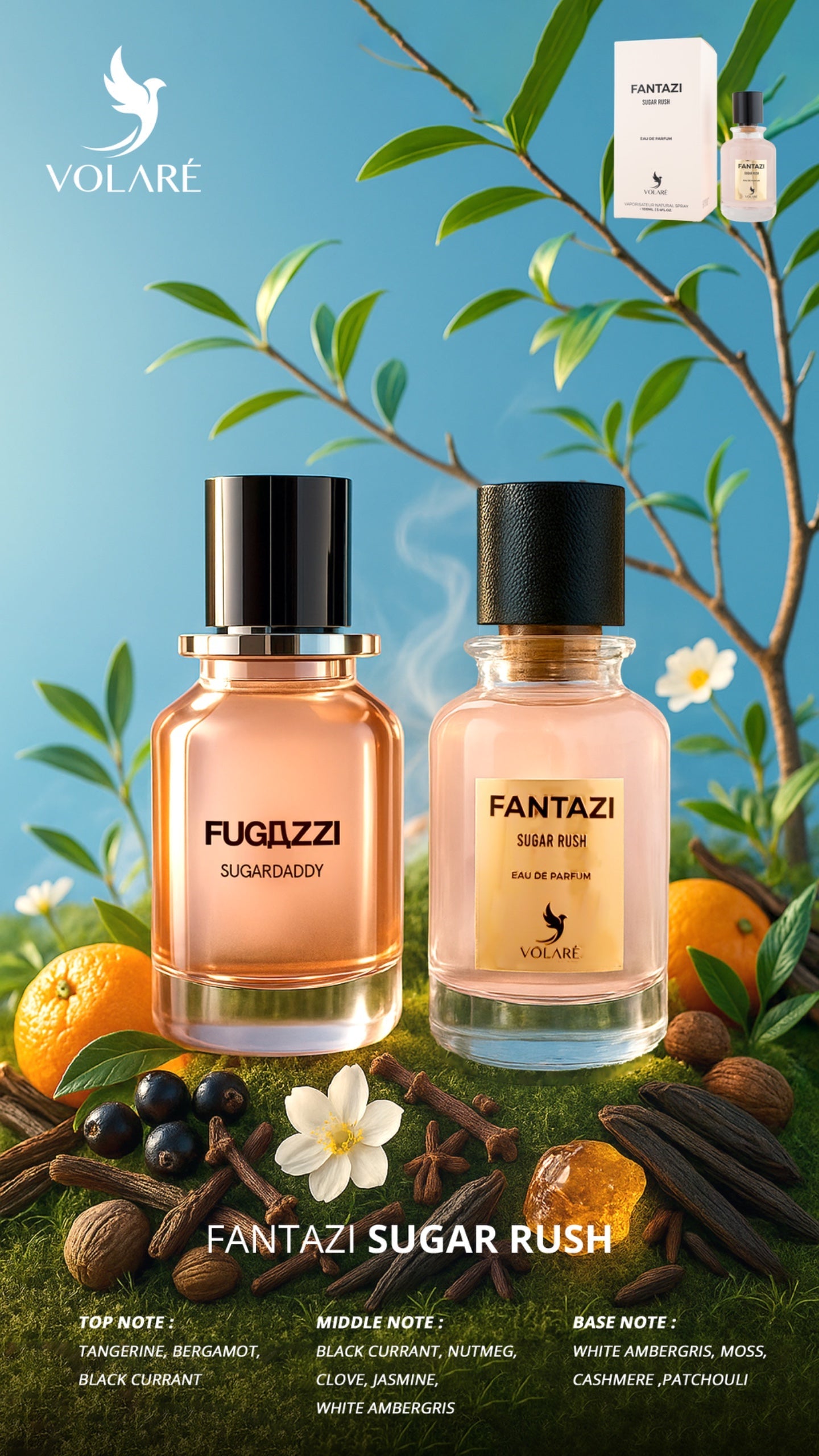 Fantazi, Sugar Rush